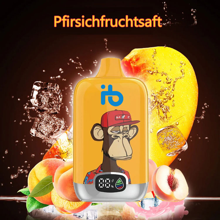 Perfekter Überblick: Worauf Sie beim Kauf eines E Zigaretten Komplett Sets achten sollten