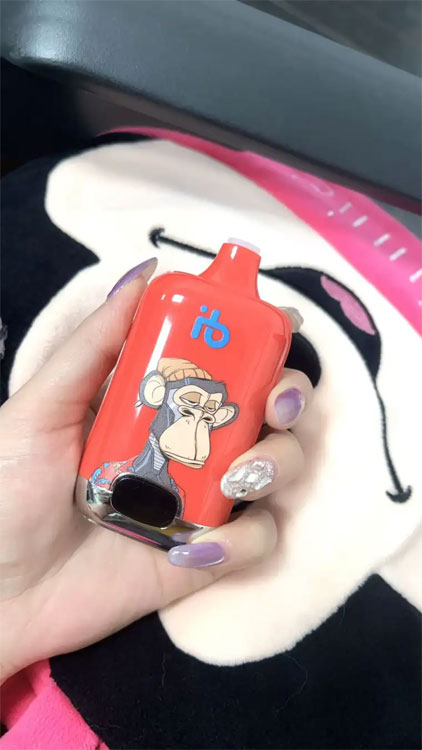 E Cigs Erfahrungen mit E Cigs und e zigaretten sticks für Einsteiger und Profis