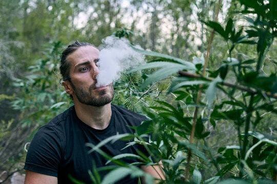 Vape Trends entdecken und welche E Zigarette passt zu mir Test 2024 detailliert erklärt